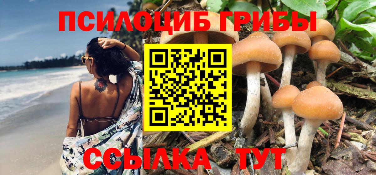 Псилоцибиновые грибы Psilocybine cubensis  Галлюциногенные грибы мухоморы  Вход с VPN  Ликино-Дулёво 